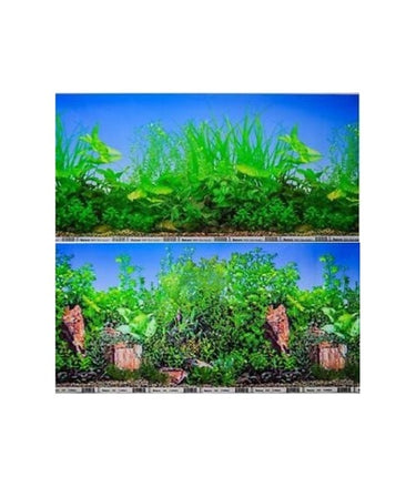 KW Zone Backscreen Picture 24 x 15M